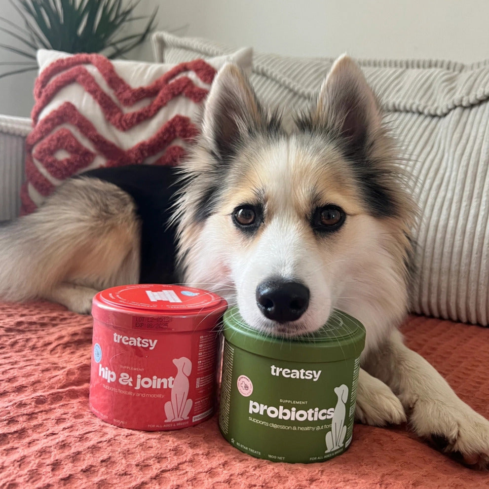 Mobility supplement for dogs