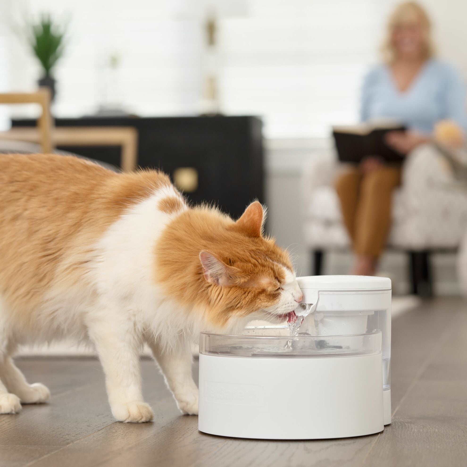 Outlast pump-free water fountain with dual filtration