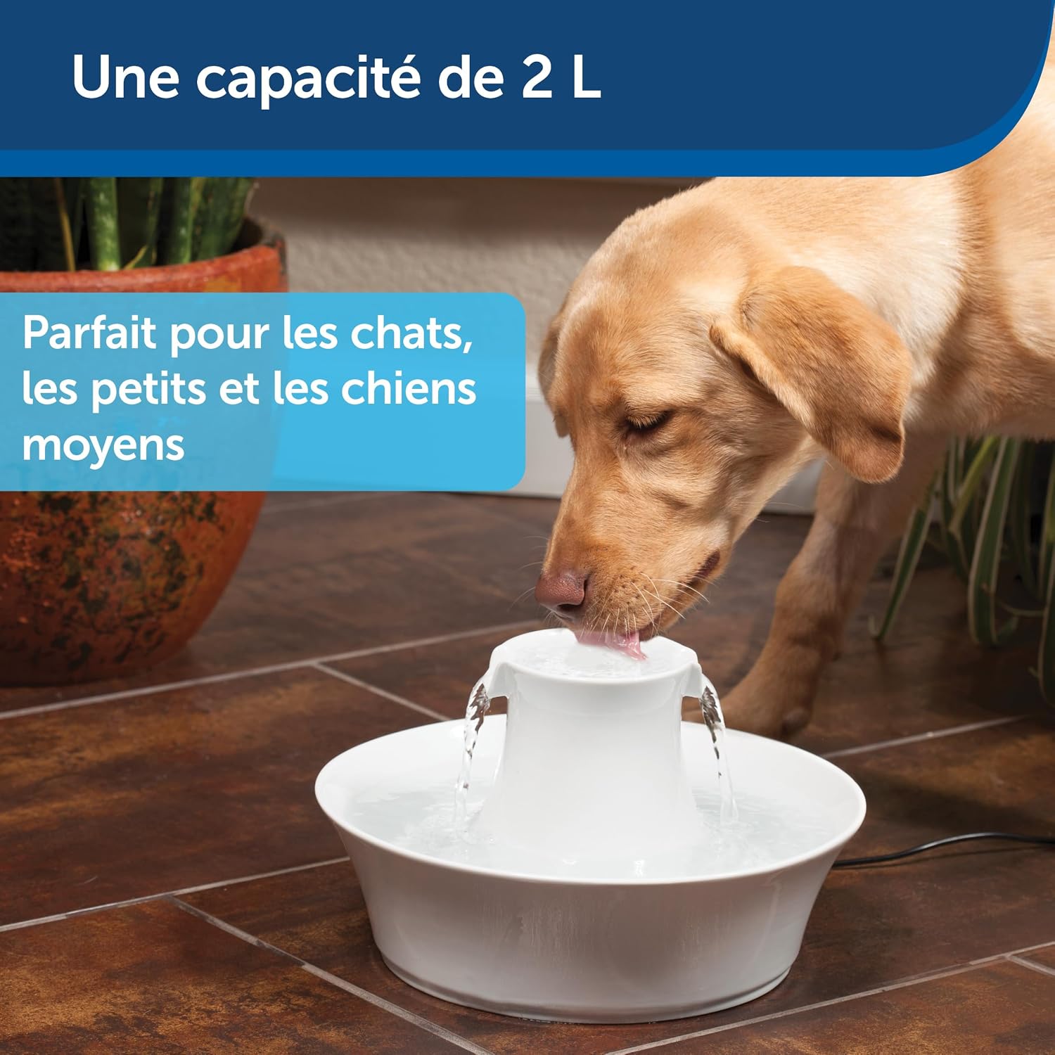 Drinkwell® Avalon Ceramic Pet Fountain, 2 L, for Dogs and Cats