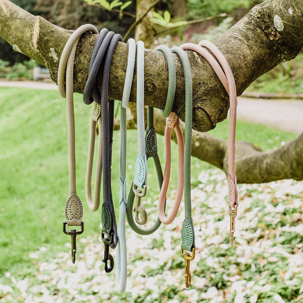 Leash made of polyamide and leather