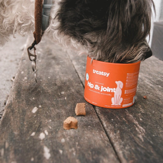 Mobility supplement for dogs