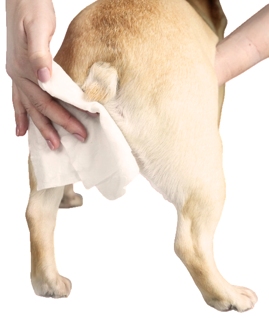 Natural bamboo grooming wipes