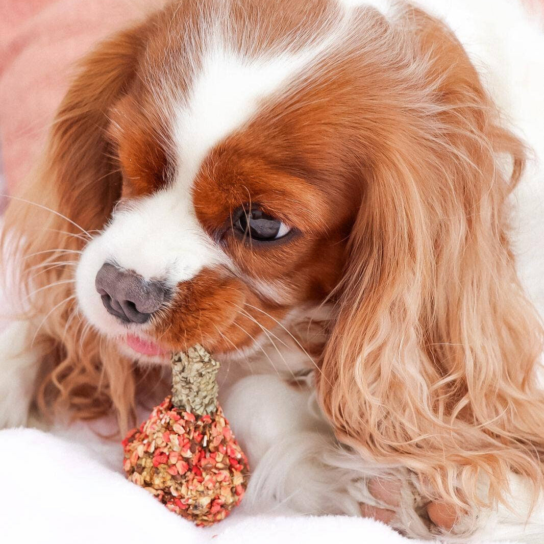 Turkey and cod skin dog treat