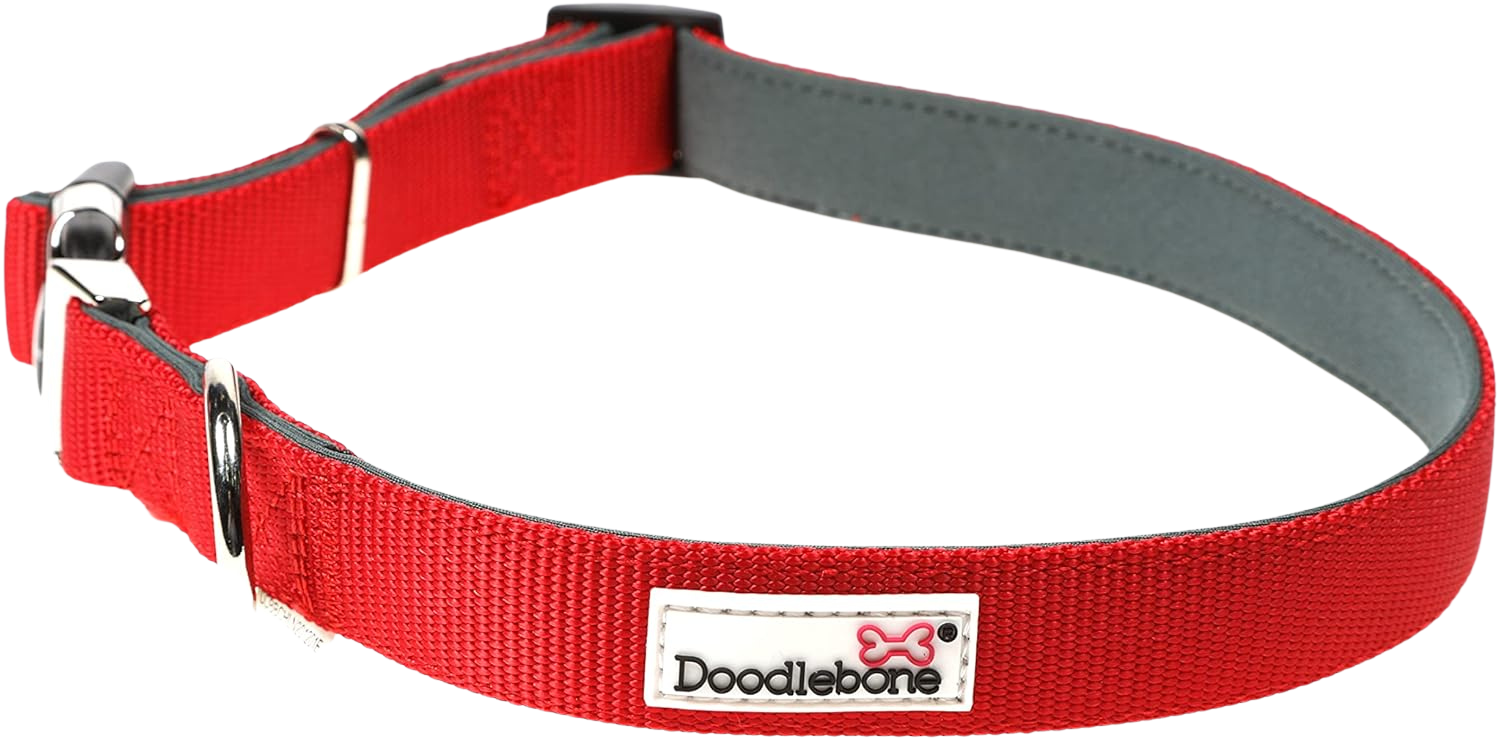 Adjustable Padded Dog Collar