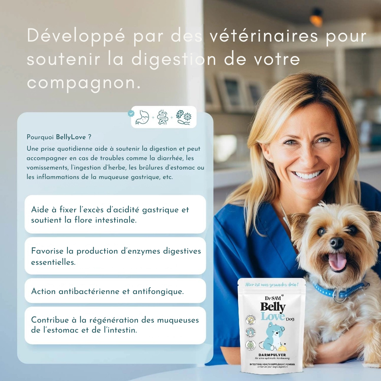 Herbal intestinal powder