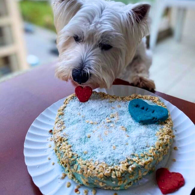 Krill cake kit for dogs (to bake)