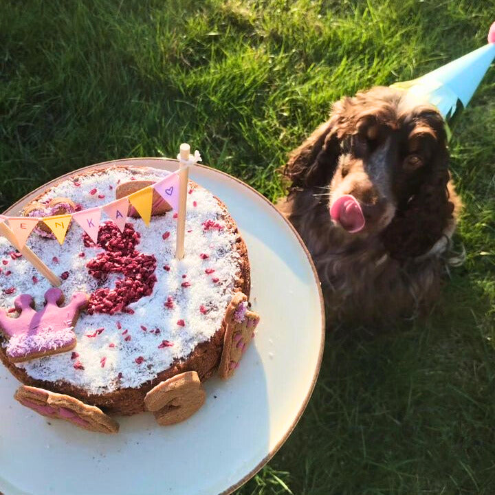 Krill cake kit for dogs (to bake)