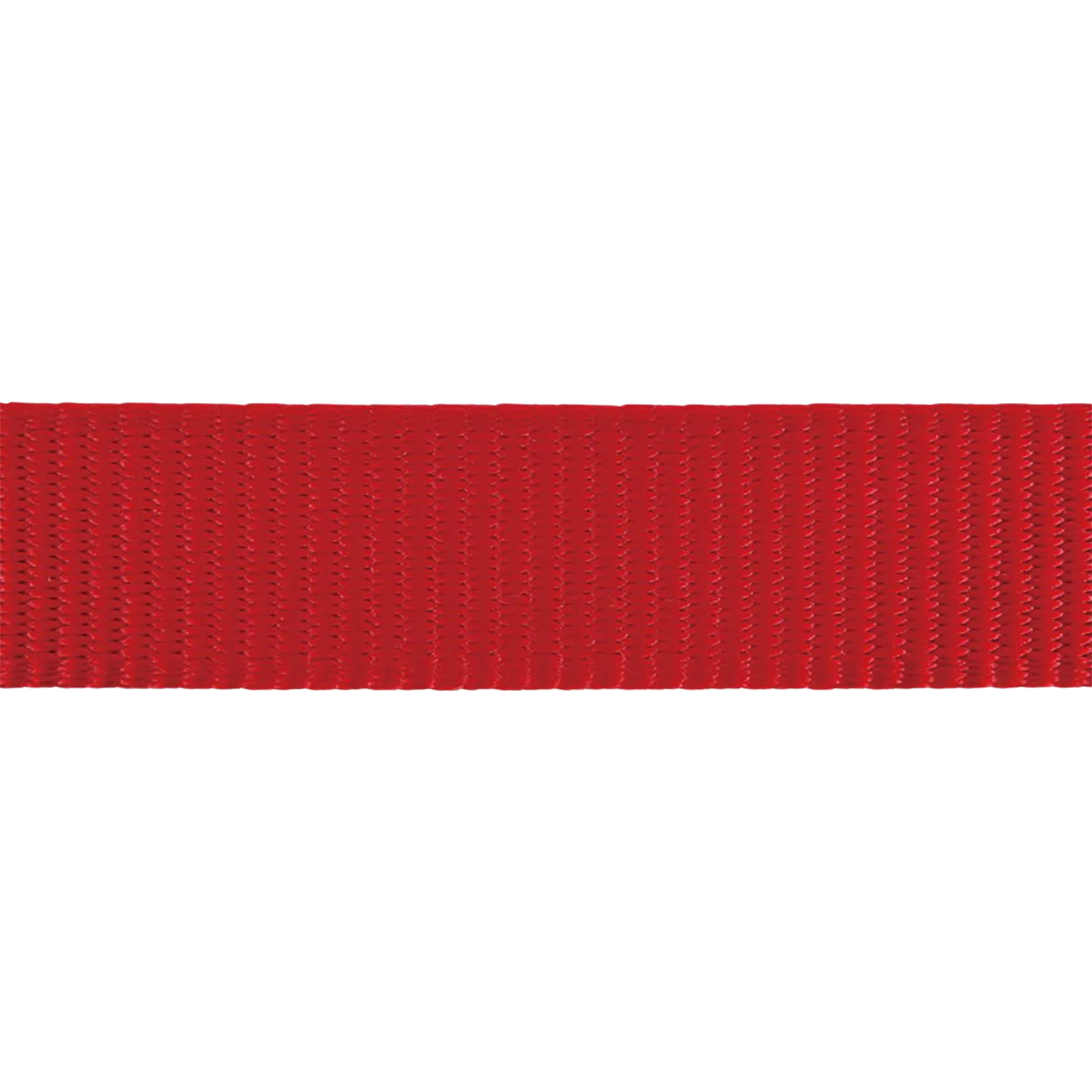 Red sports harness for dogs