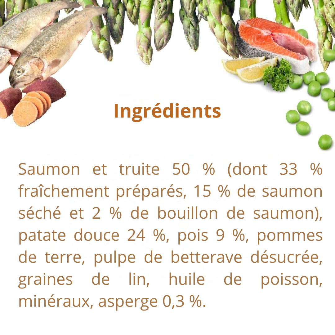 Salmon and Trout Croquettes for Adult Dogs