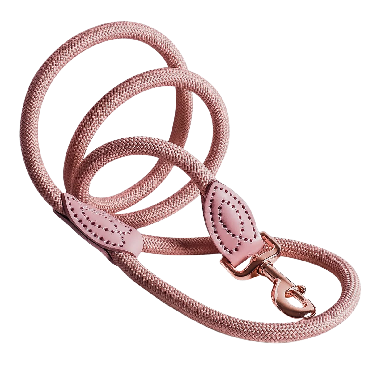 Leash made of polyamide and leather