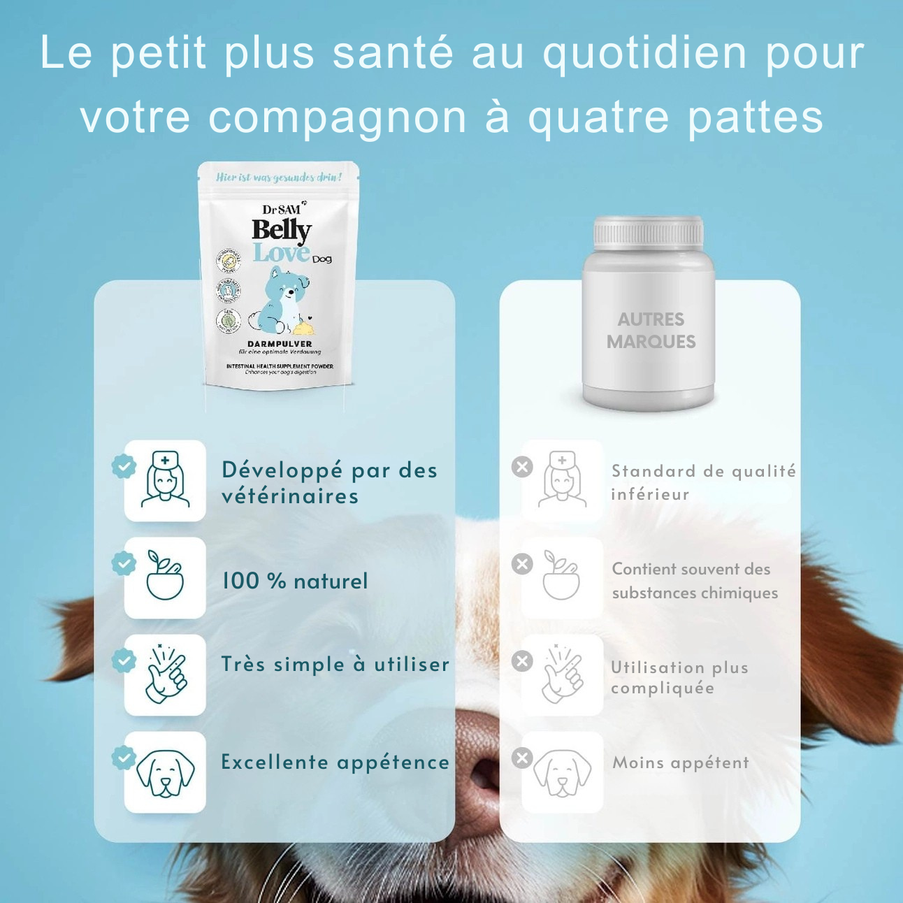 Herbal intestinal powder