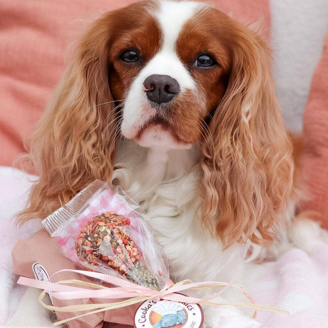 Turkey and cod skin dog treat
