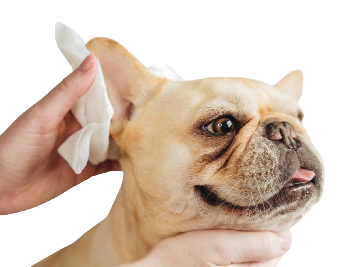 Natural bamboo grooming wipes