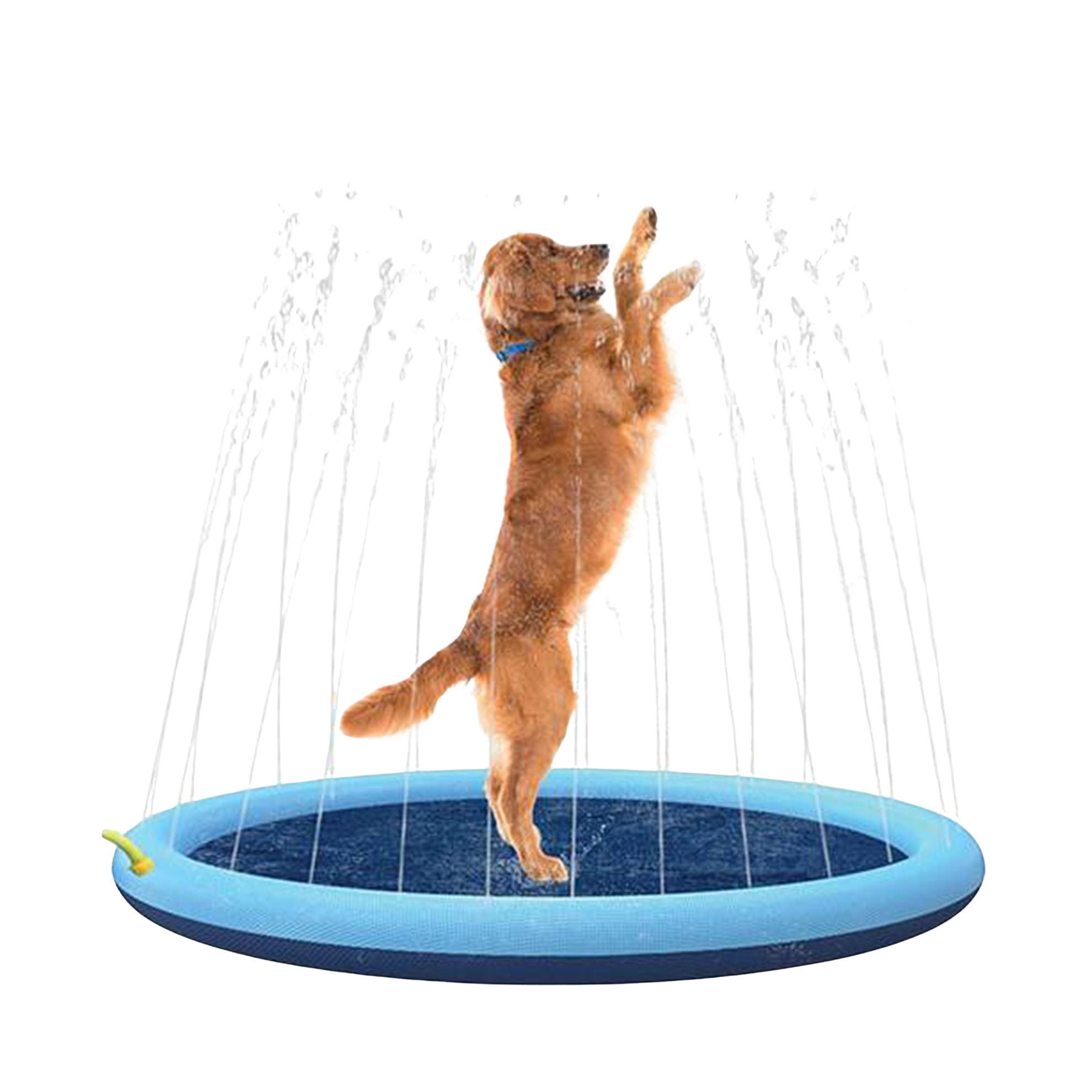 Dog splash pad