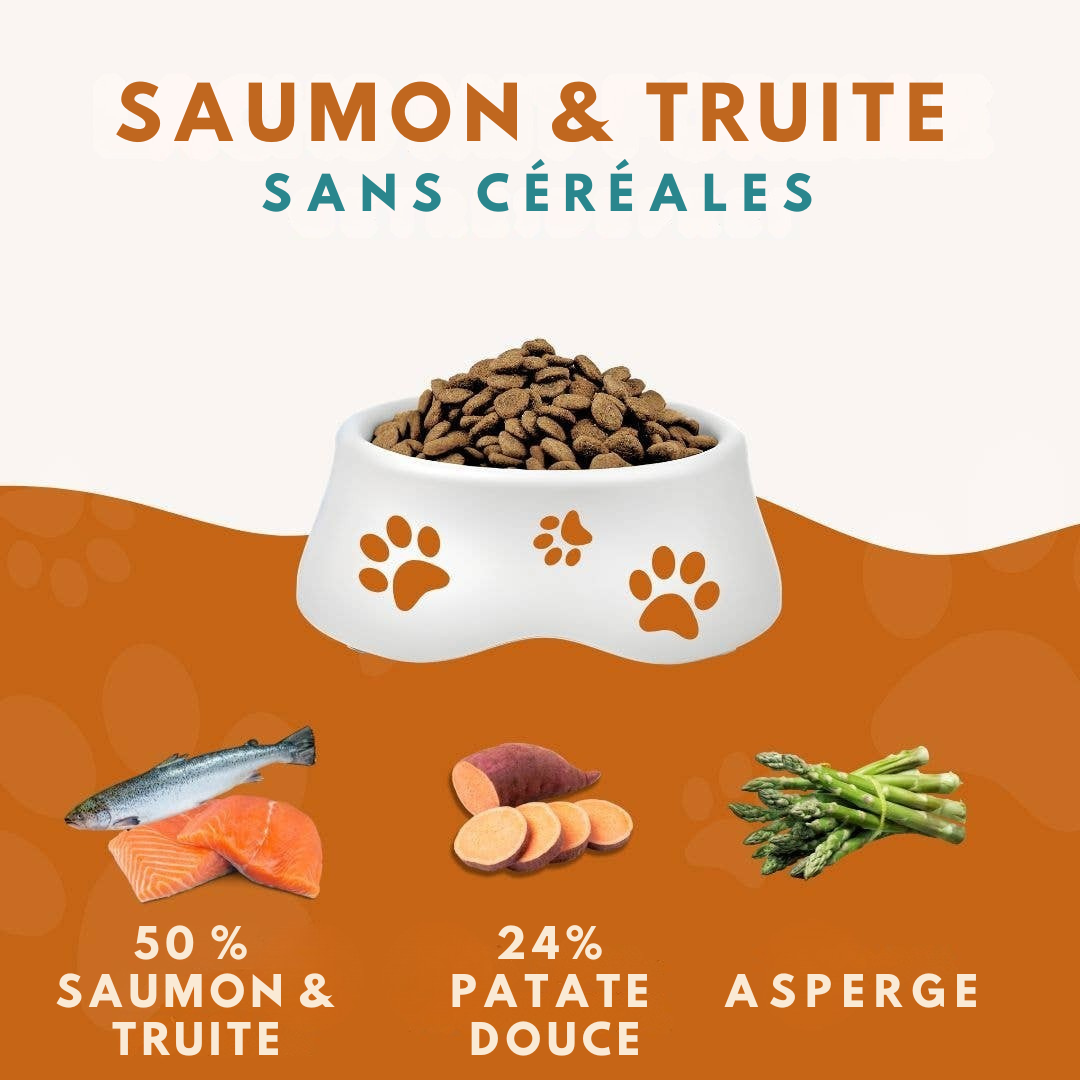 Salmon and Trout Croquettes for Adult Dogs