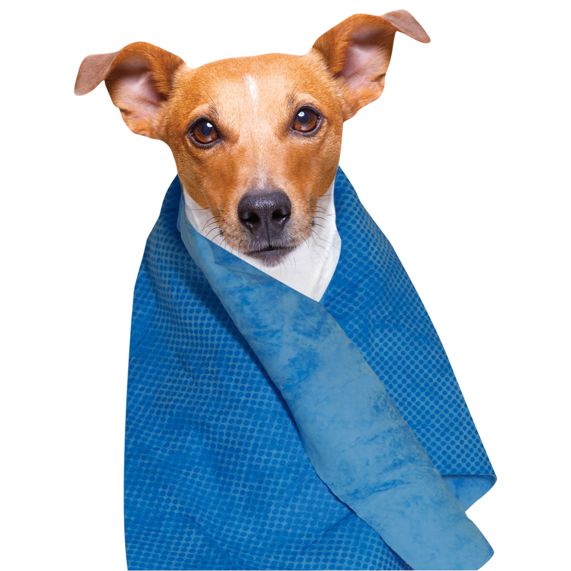 Cooling Towel for Dogs and Cats