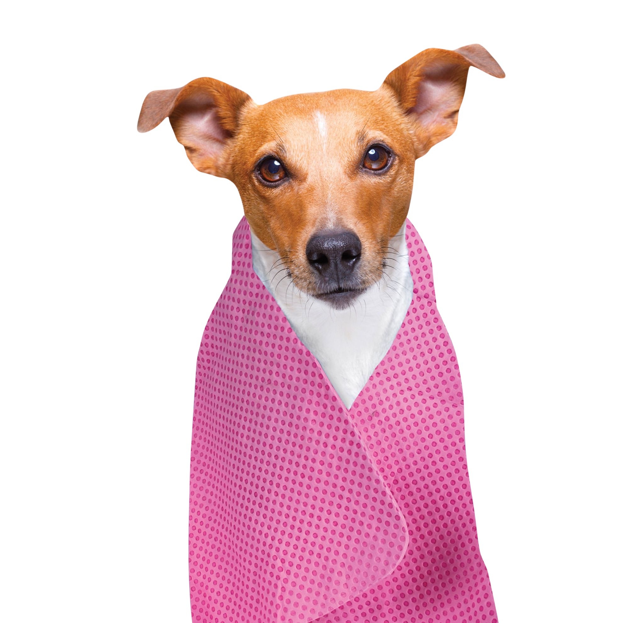Cooling Towel for Dogs and Cats