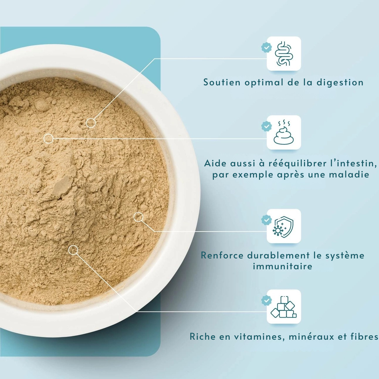 Herbal intestinal powder