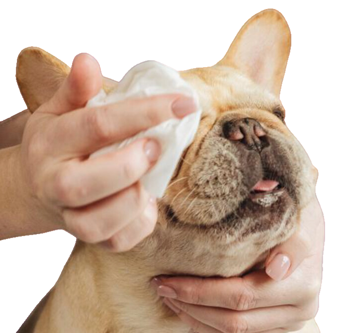 Natural bamboo grooming wipes