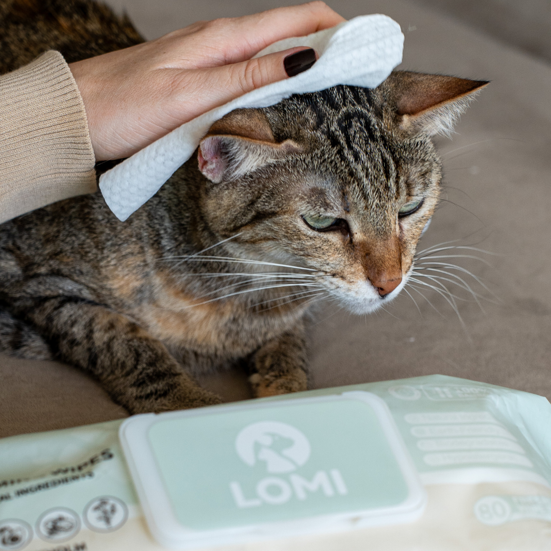 Natural bamboo grooming wipes