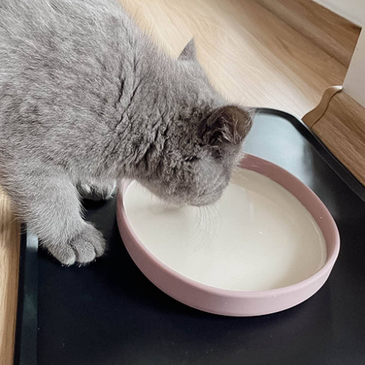 Flat silicone bowl