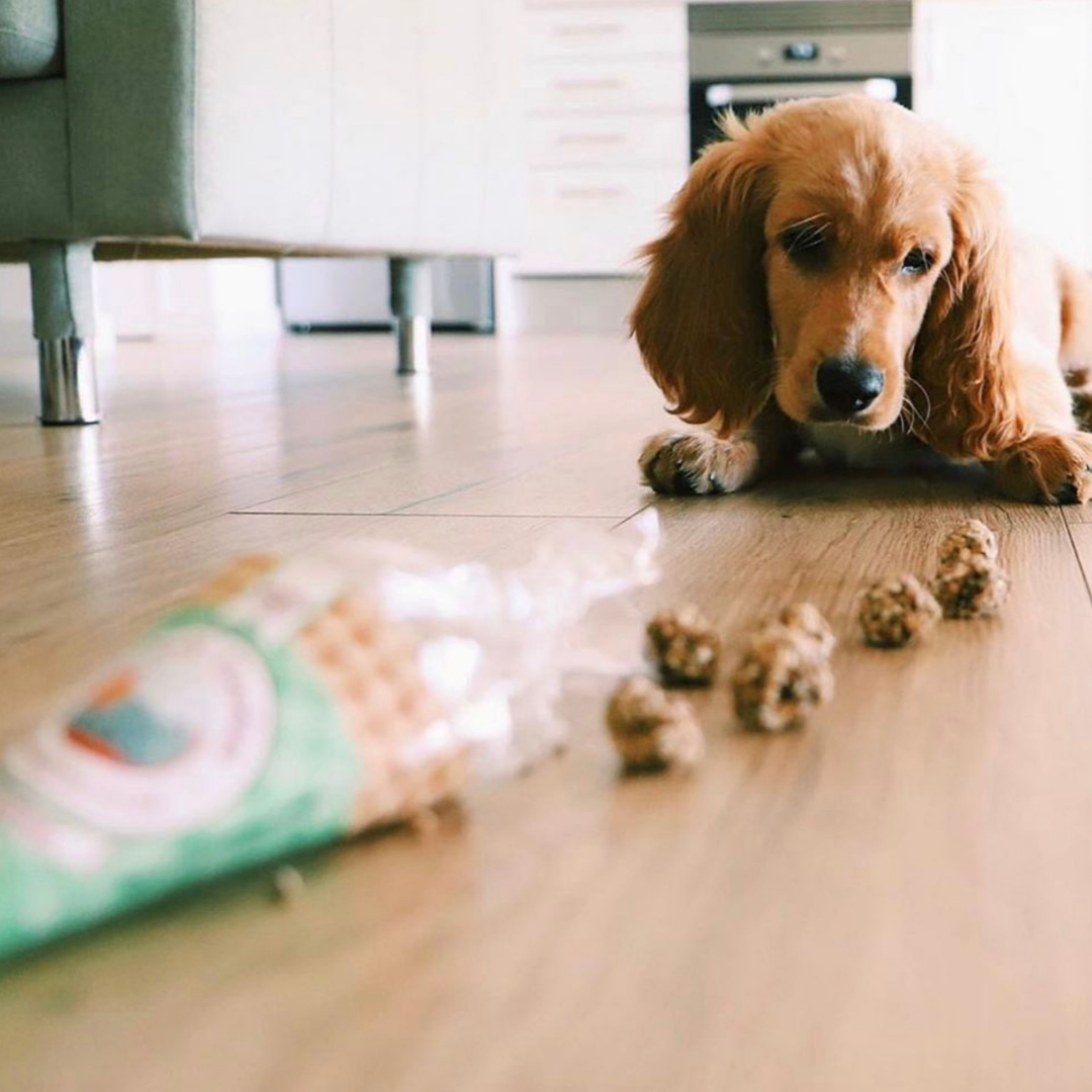 Beijinhos - Crunchy and natural pork and sardine treats for dogs