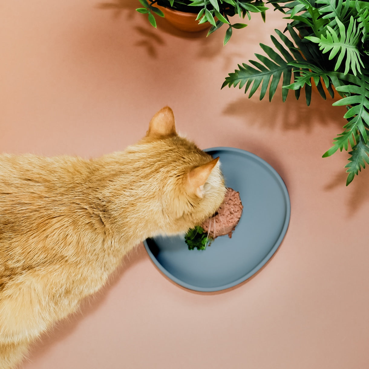 Flat silicone bowl