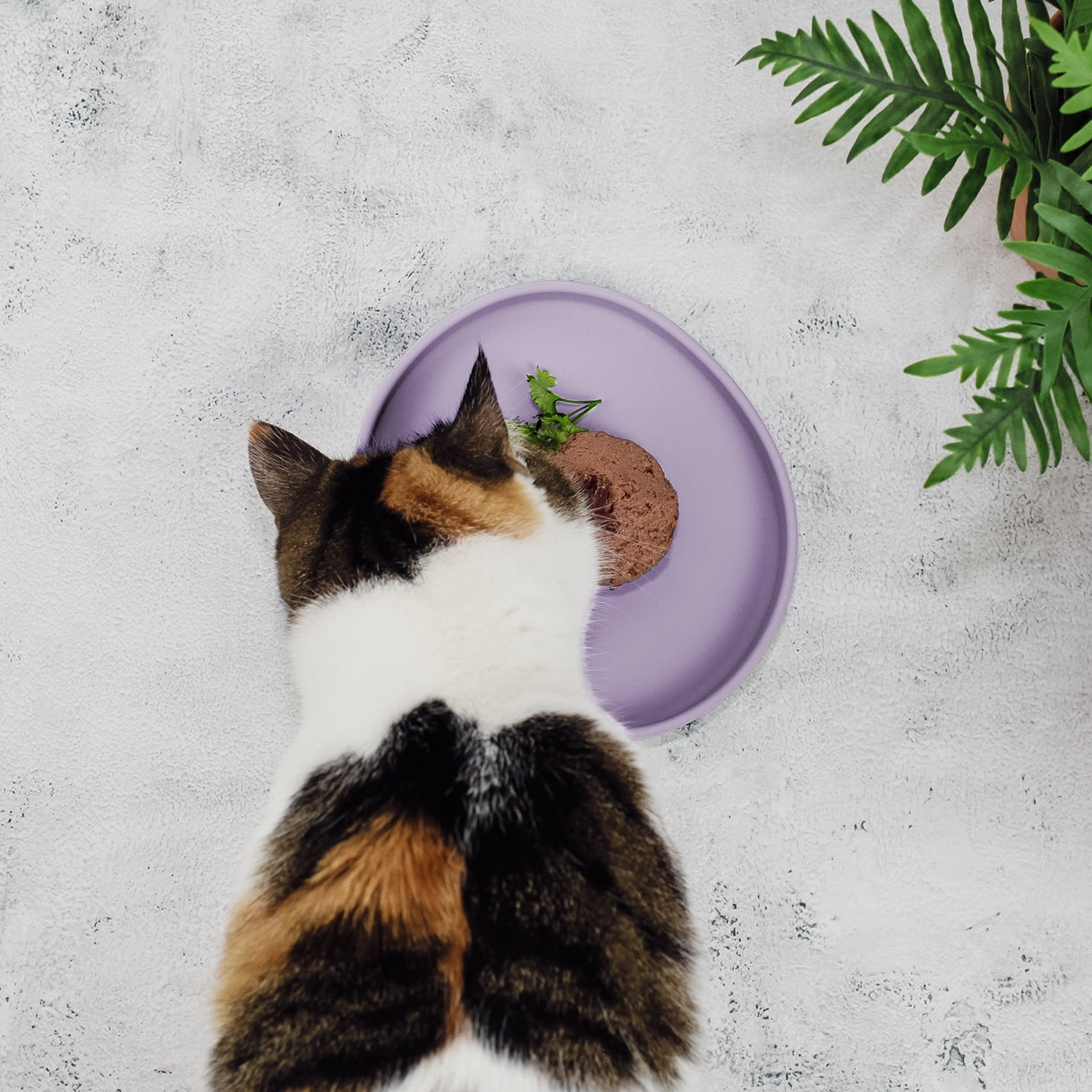 Flat silicone bowl