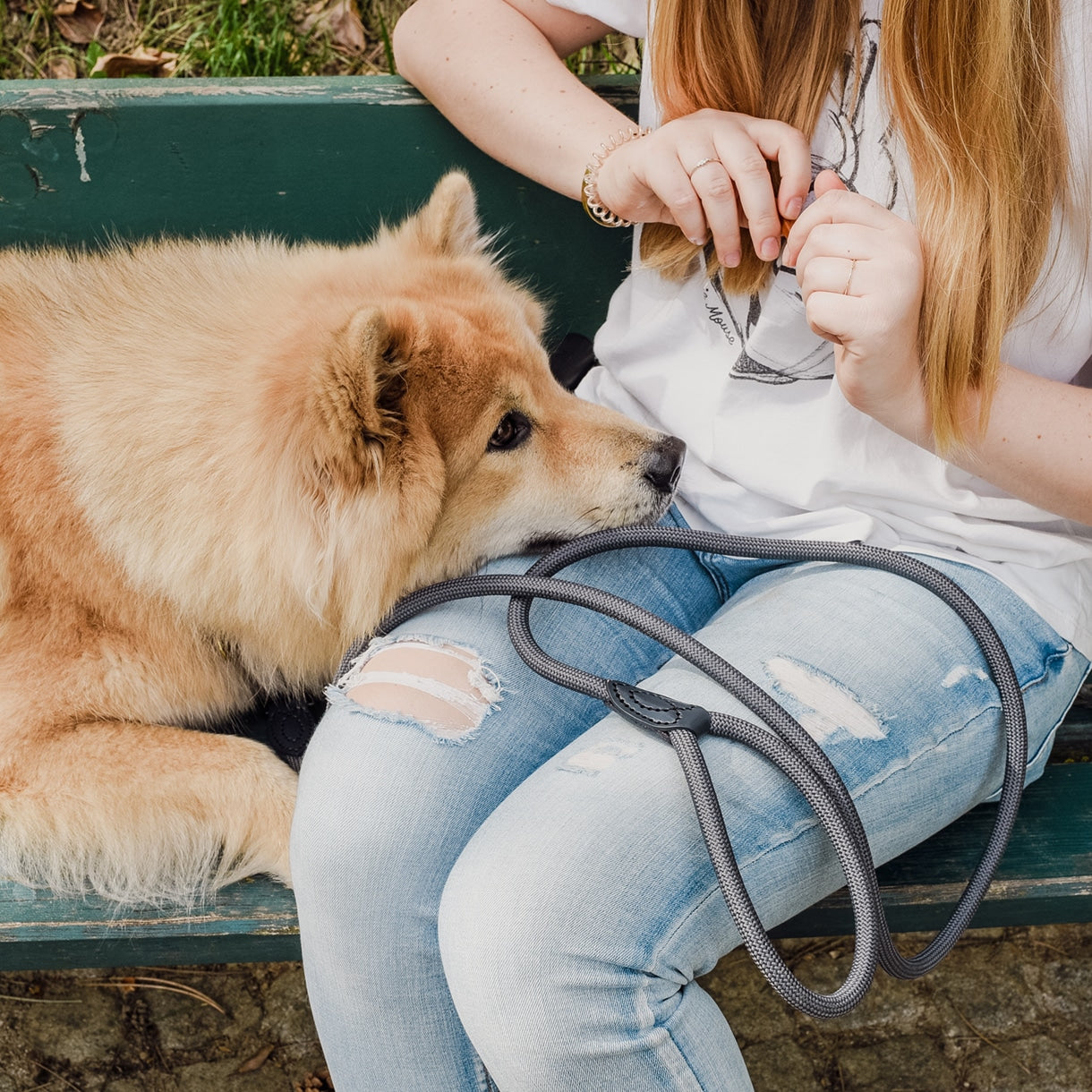 Leash made of polyamide and leather