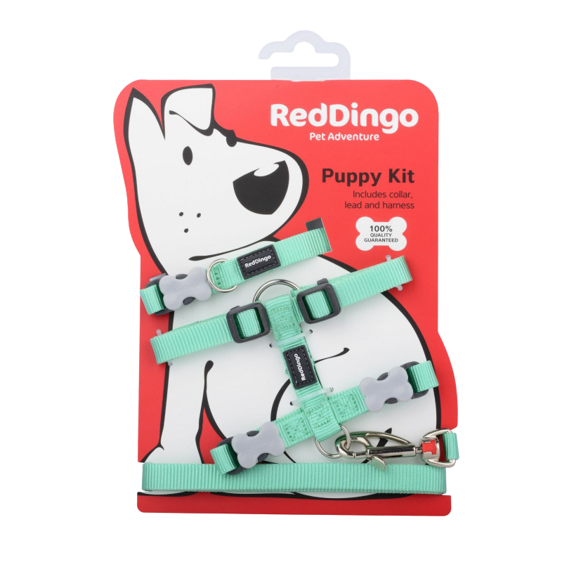 Pastel Green Puppy Collar, Harness, and Leash Set