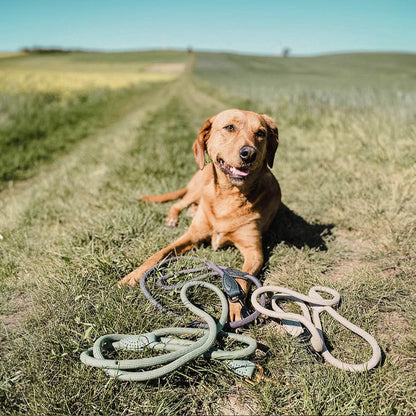 Leash made of polyamide and leather