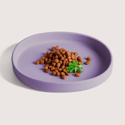 Flat silicone bowl