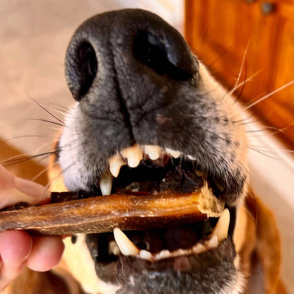 Dried pig intestines for dogs