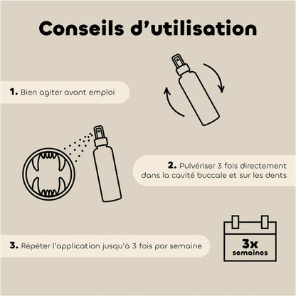 Dental lotion with organic plant-based active ingredients