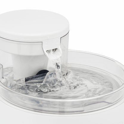 Outlast pump-free water fountain with dual filtration