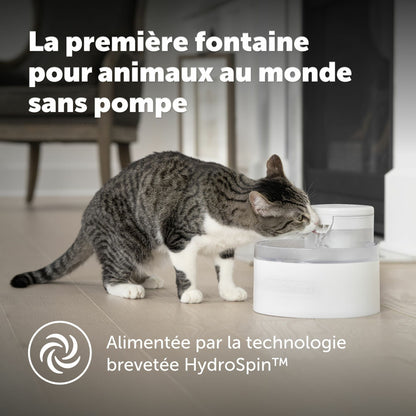 Outlast pump-free water fountain with dual filtration