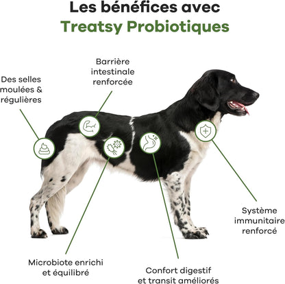 Chicken Probiotic Supplement for Dogs