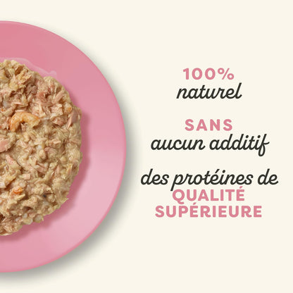 Tuna and shrimp fillet in broth for adult cats