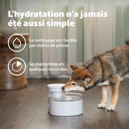Outlast pump-free water fountain with dual filtration