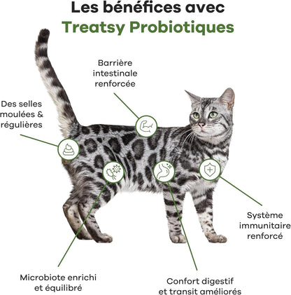 Probiotic food supplement with fish and chicken for cats
