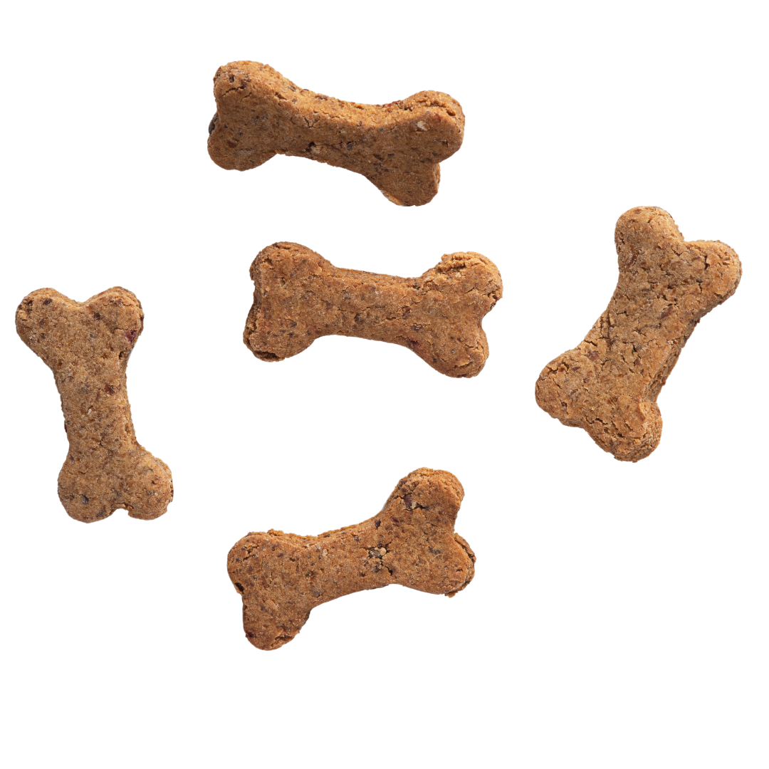 Crispy beef bone-shaped biscuits