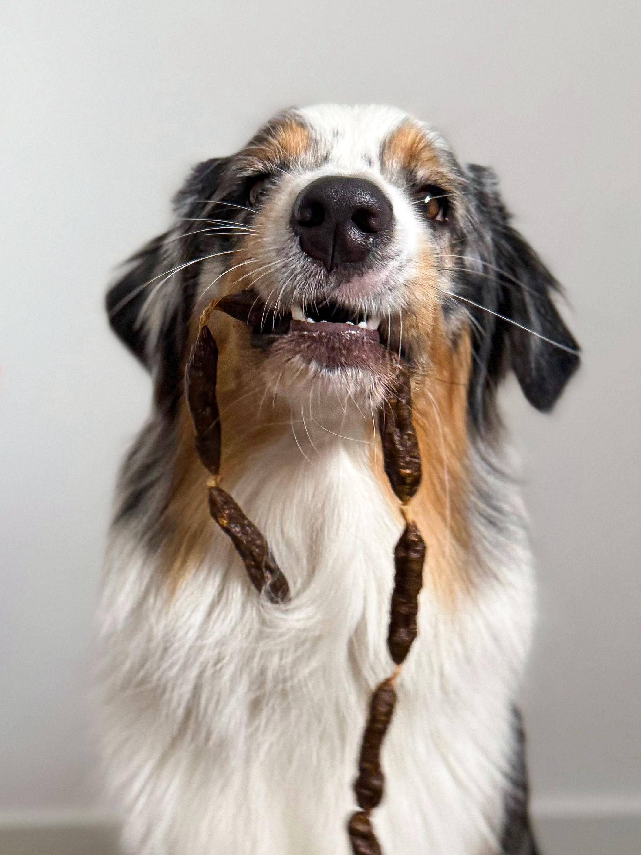 Dried turkey sausages