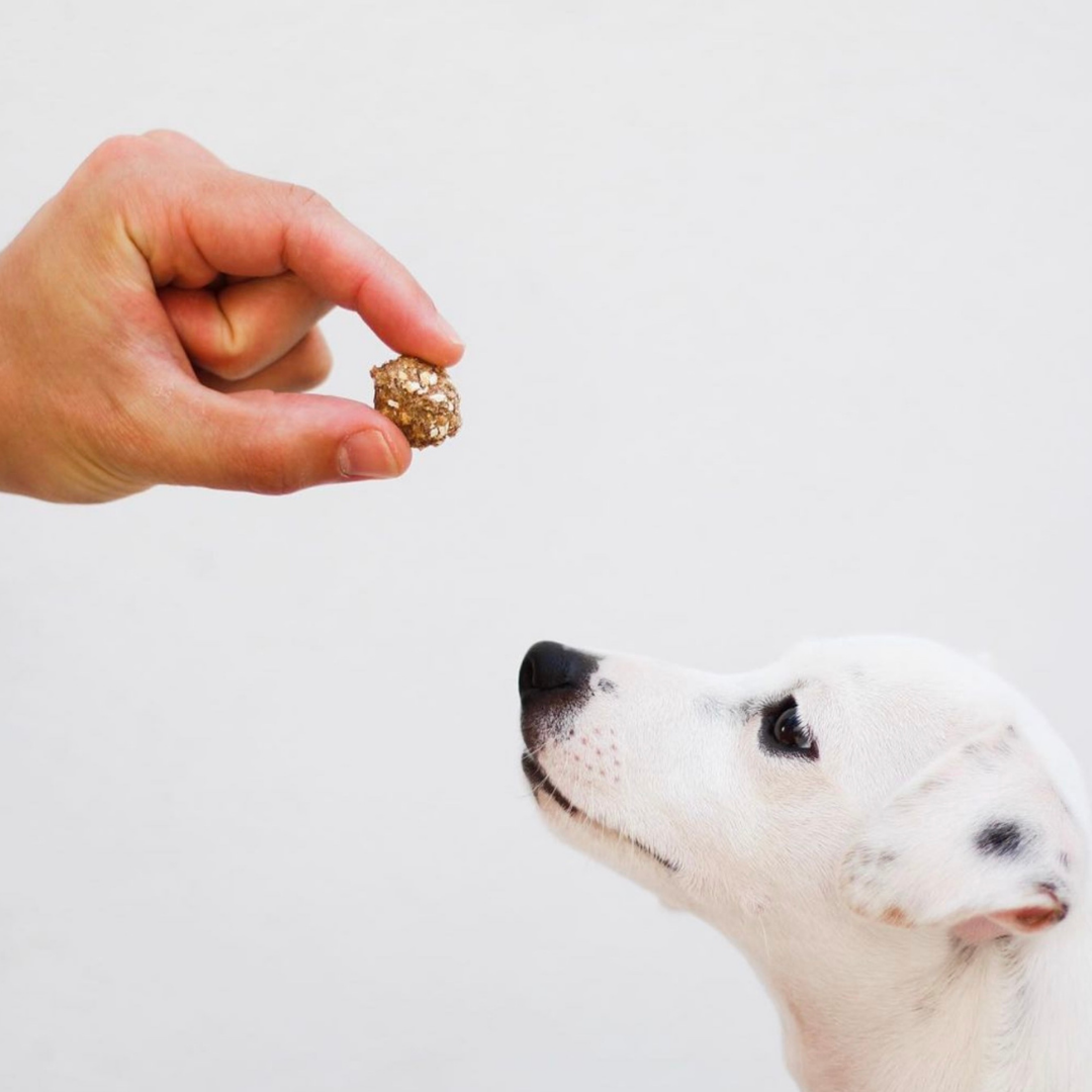 Beijinhos - Crunchy and natural pork and sardine treats for dogs