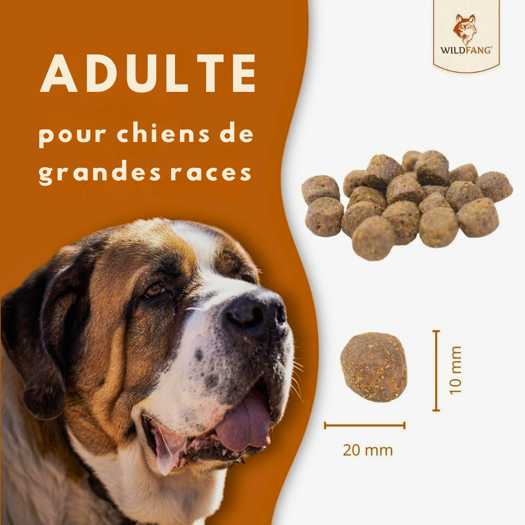 Salmon and Trout Croquettes for Adult Dogs