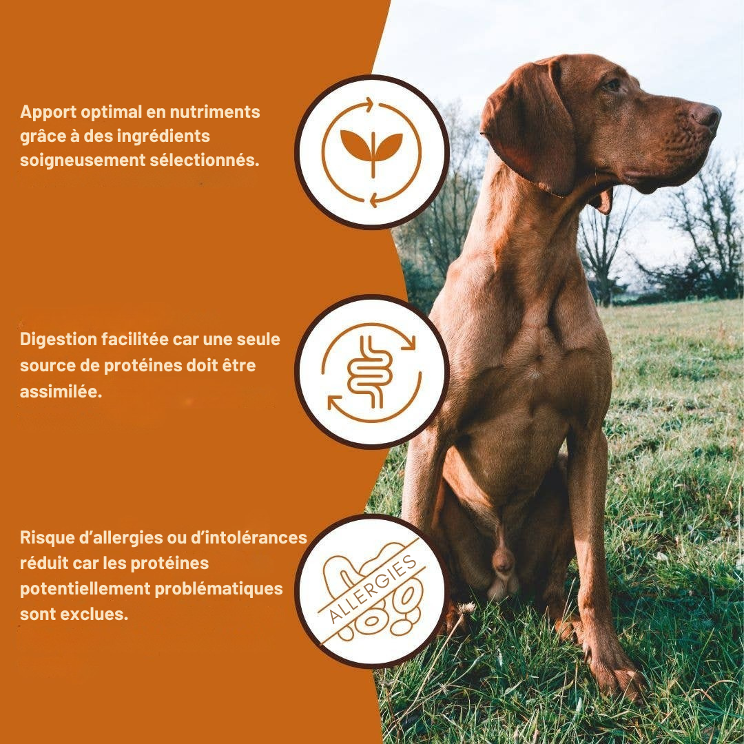 BARF quality pure beef pâté for adult dogs