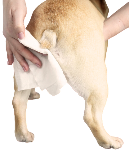 Natural bamboo grooming wipes