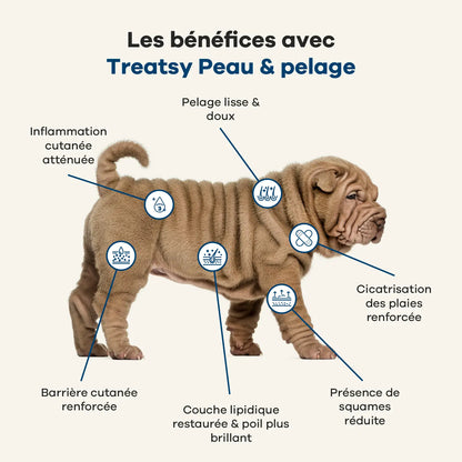 Chicken-based skin and coat supplement for dogs
