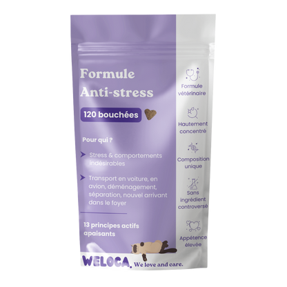 Anti-stress food supplement for cats