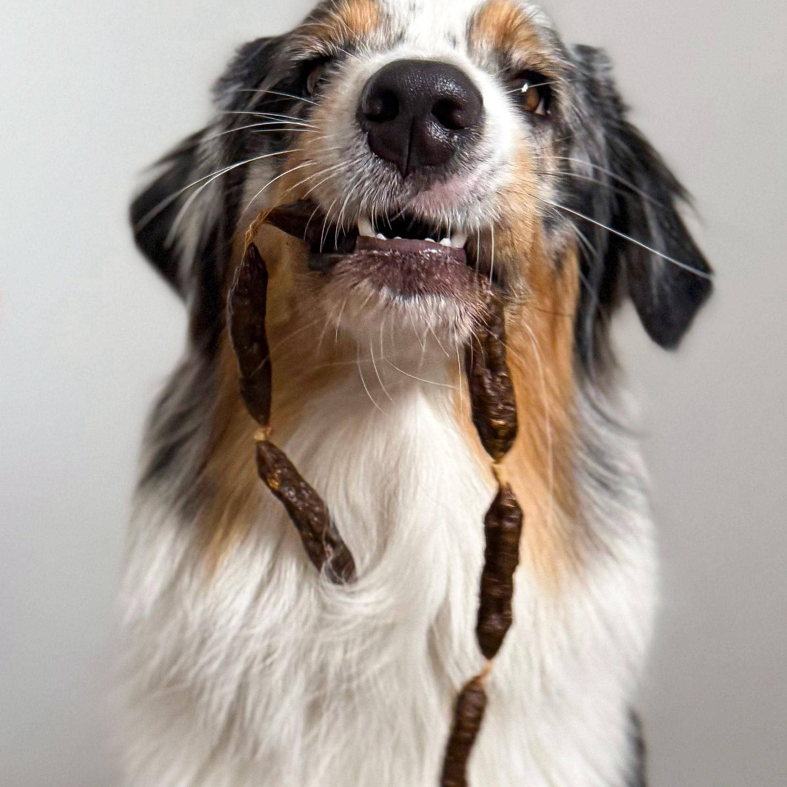 Dried beef sausages