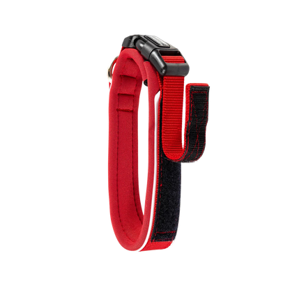 Collier Neo Classic en néoprène pour chiens